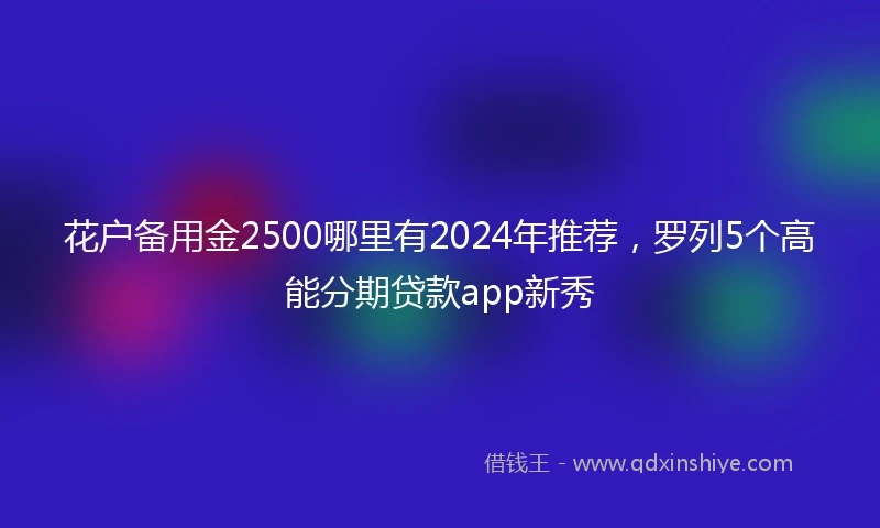 花户备用金2500哪里有2024年推荐，罗列5个高能分期贷款app新秀