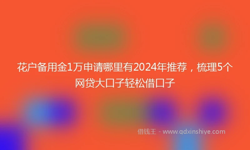 花户备用金1万申请哪里有2024年推荐，梳理5个网贷大口子轻松借口子
