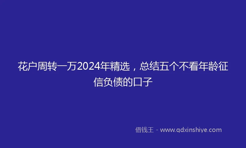 花户周转一万2024年精选，总结五个不看年龄征信负债的口子