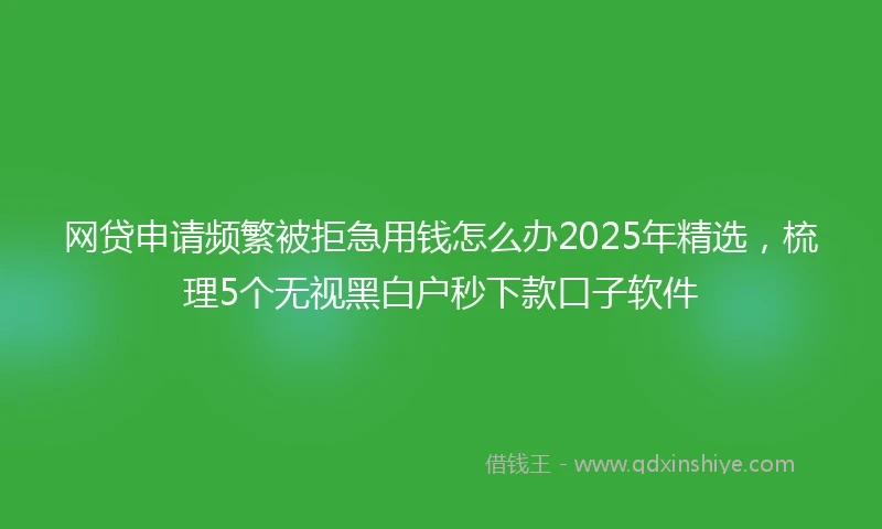 网贷申请频繁被拒急用钱怎么办2025年精选，梳理5个无视黑白户秒下款口子软件