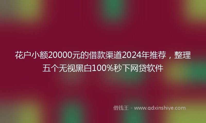 花户小额20000元的借款渠道2024年推荐，整理五个无视黑白100%秒下网贷软件