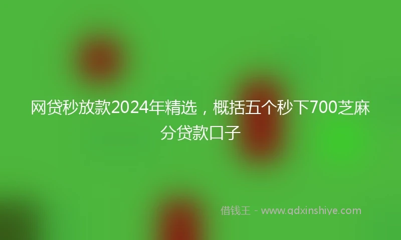 网贷秒放款2024年精选，概括五个秒下700芝麻分贷款口子