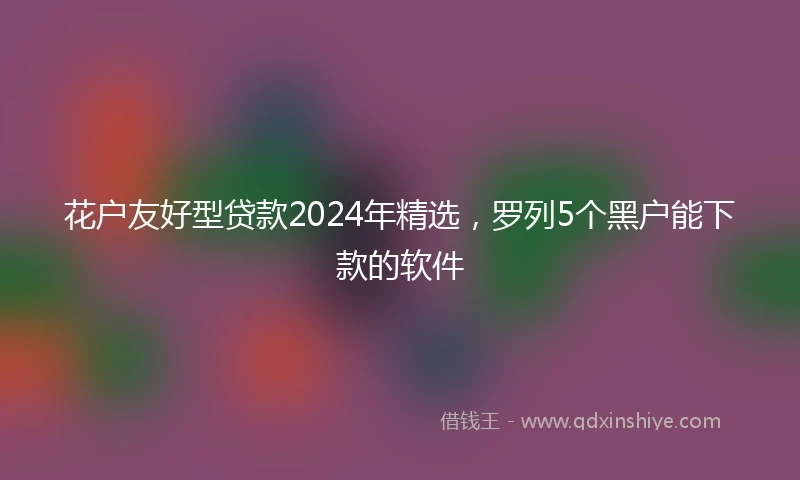 花户友好型贷款2024年精选，罗列5个黑户能下款的软件