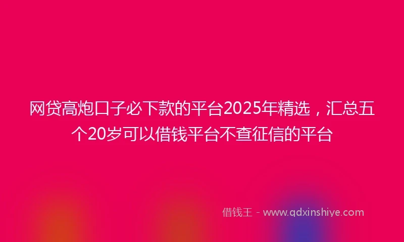 网贷高炮口子必下款的平台2025年精选，汇总五个20岁可以借钱平台不查征信的平台