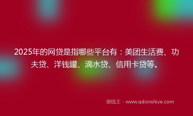 2025年的网贷是指哪些平台有：美团生活费、功夫贷、洋钱罐、滴水贷、信用卡贷等。
