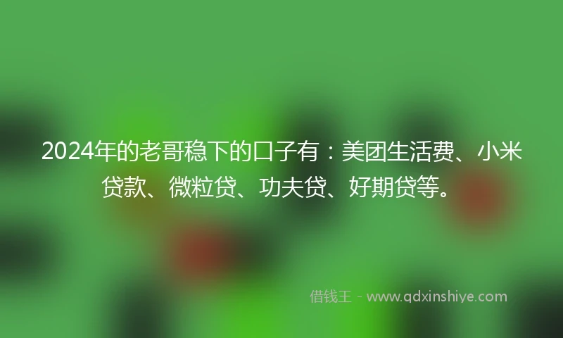 2024年的老哥稳下的口子有：美团生活费、小米贷款、微粒贷、功夫贷、好期贷等。