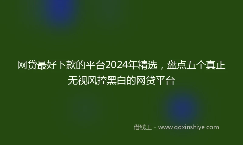 网贷最好下款的平台2024年精选，盘点五个真正无视风控黑白的网贷平台