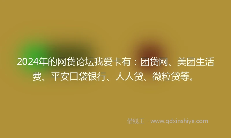 2024年的网贷论坛我爱卡有：团贷网、美团生活费、平安口袋银行、人人贷、微粒贷等。