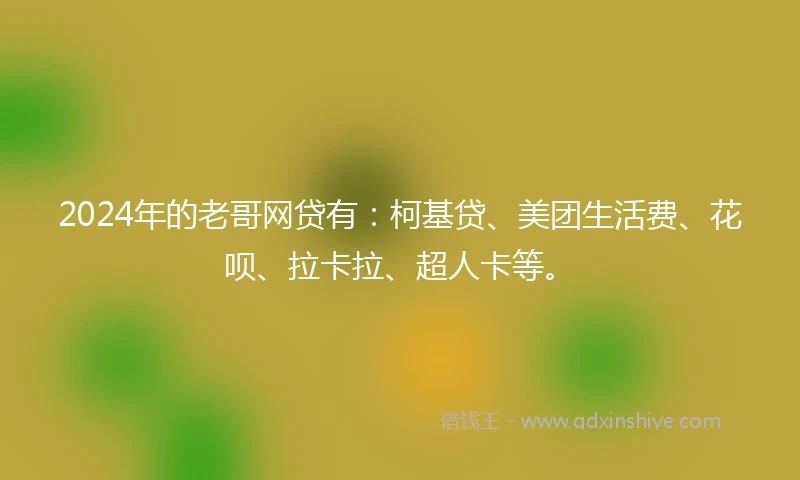 2024年的老哥网贷有：柯基贷、美团生活费、花呗、拉卡拉、超人卡等。