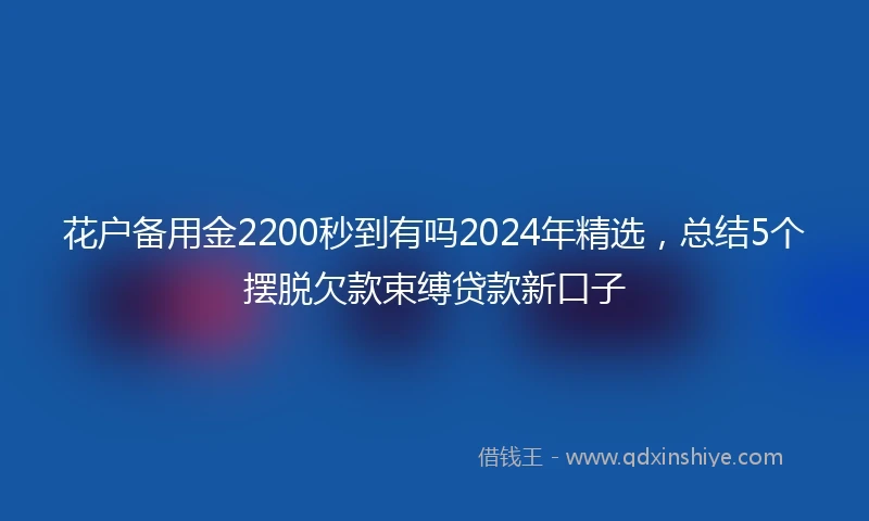 花户备用金2200秒到有吗2024年精选，总结5个摆脱欠款束缚贷款新口子