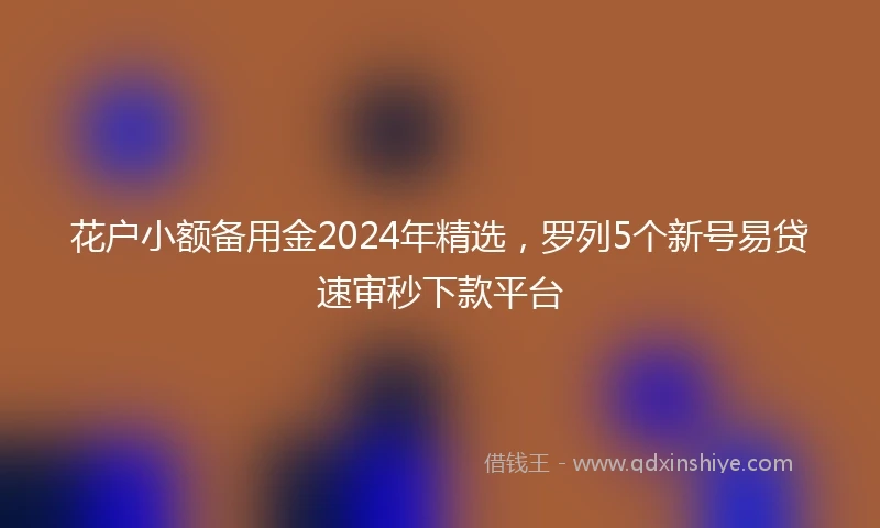 花户小额备用金2024年精选，罗列5个新号易贷速审秒下款平台