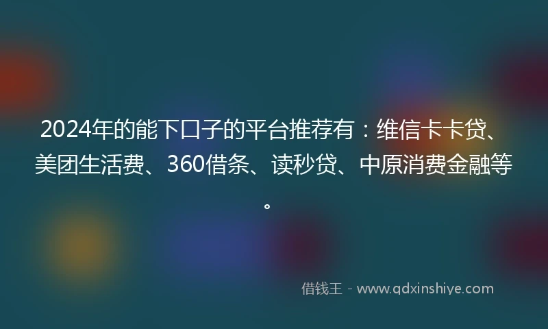 2024年的能下口子的平台推荐有：维信卡卡贷、美团生活费、360借条、读秒贷、中原消费金融等。
