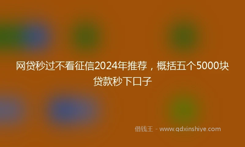 网贷秒过不看征信2024年推荐，概括五个5000块贷款秒下口子