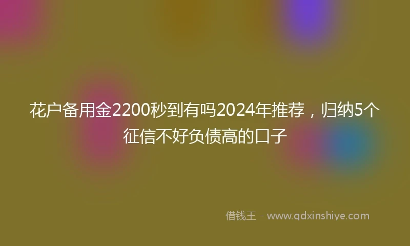 花户备用金2200秒到有吗2024年推荐，归纳5个征信不好负债高的口子