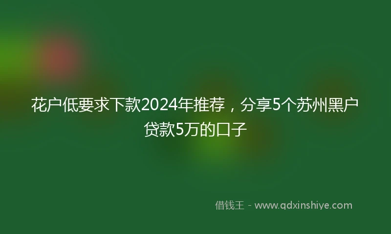 花户低要求下款2024年推荐，分享5个苏州黑户贷款5万的口子