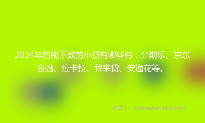 2024年的能下款的小贷有哪些有：分期乐、京东金融、拉卡拉、我来贷、安逸花等。