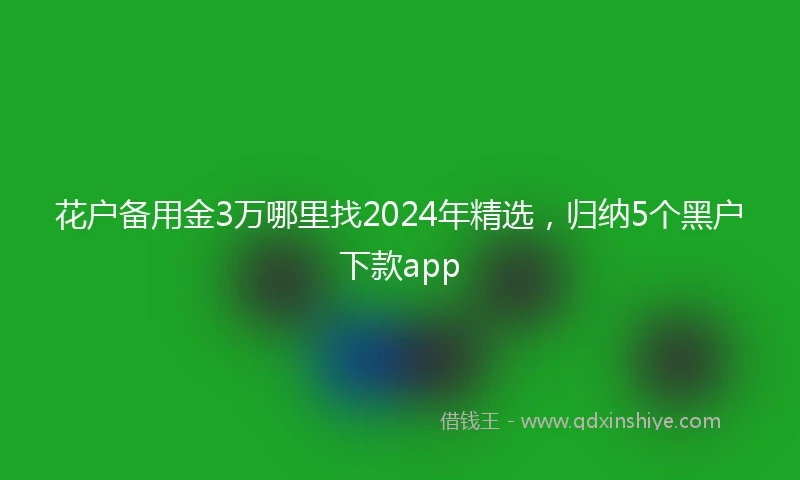 花户备用金3万哪里找2024年精选，归纳5个黑户下款app