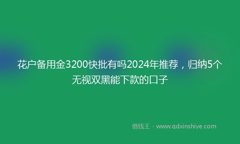 花户备用金3200快批有吗2024年推荐，归纳5个无视双黑能下款的口子