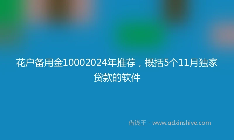 花户备用金10002024年推荐，概括5个11月独家贷款的软件