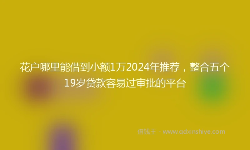 花户哪里能借到小额1万2024年推荐，整合五个19岁贷款容易过审批的平台