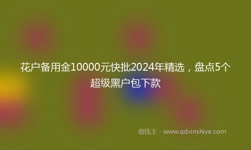 花户备用金10000元快批2024年精选，盘点5个超级黑户包下款