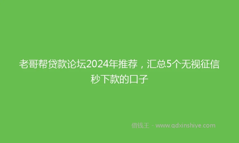老哥帮贷款论坛2024年推荐，汇总5个无视征信秒下款的口子
