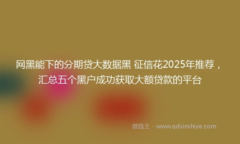 网黑能下的分期贷大数据黑 征信花2025年推荐，汇总五个黑户成功获取大额贷款的平台