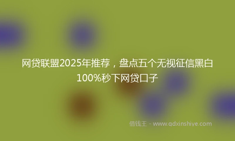 网贷联盟2025年推荐，盘点五个无视征信黑白100%秒下网贷口子