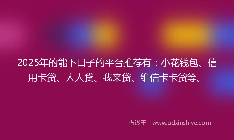 2025年的能下口子的平台推荐有：小花钱包、信用卡贷、人人贷、我来贷、维信卡卡贷等。
