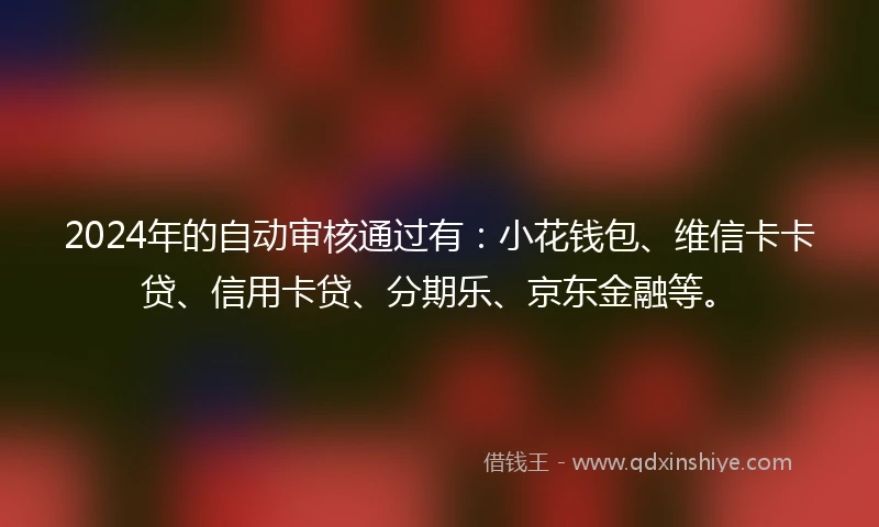 2024年的自动审核通过有：小花钱包、维信卡卡贷、信用卡贷、分期乐、京东金融等。