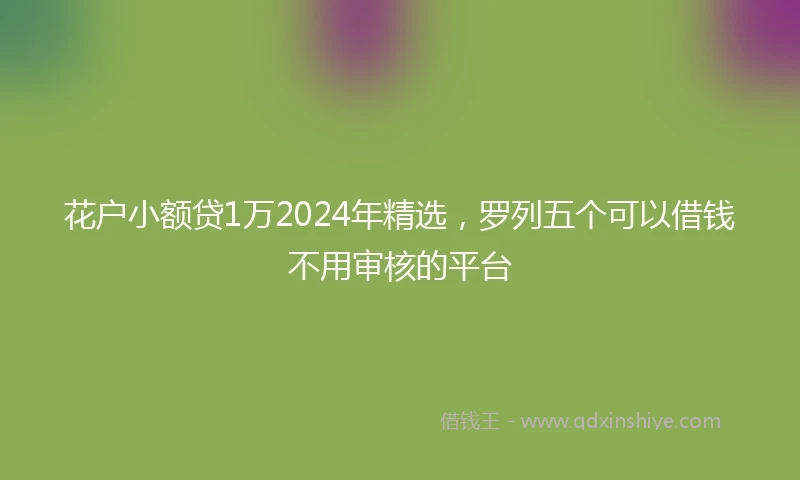 花户小额贷1万2024年精选，罗列五个可以借钱不用审核的平台