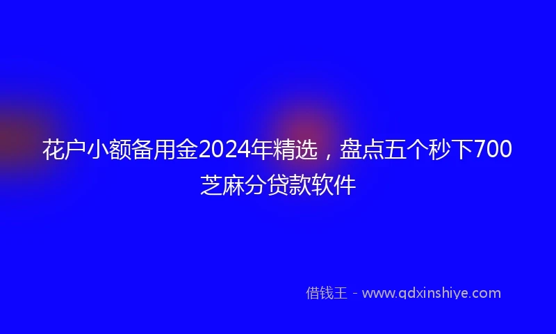 花户小额备用金2024年精选，盘点五个秒下700芝麻分贷款软件