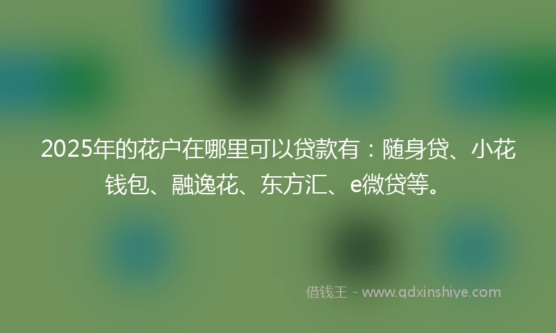2025年的花户在哪里可以贷款有:随身贷、小花钱包、融逸花、东方汇、e微贷等。
