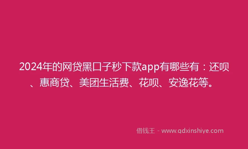 2024年的网贷黑口子秒下款app有哪些有：还呗、惠商贷、美团生活费、花呗、安逸花等。