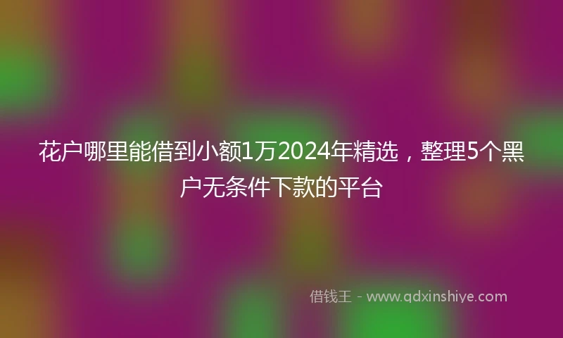 花户哪里能借到小额1万2024年精选，整理5个黑户无条件下款的平台