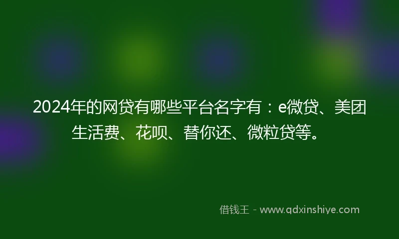 2024年的网贷有哪些平台名字有：e微贷、美团生活费、花呗、替你还、微粒贷等。