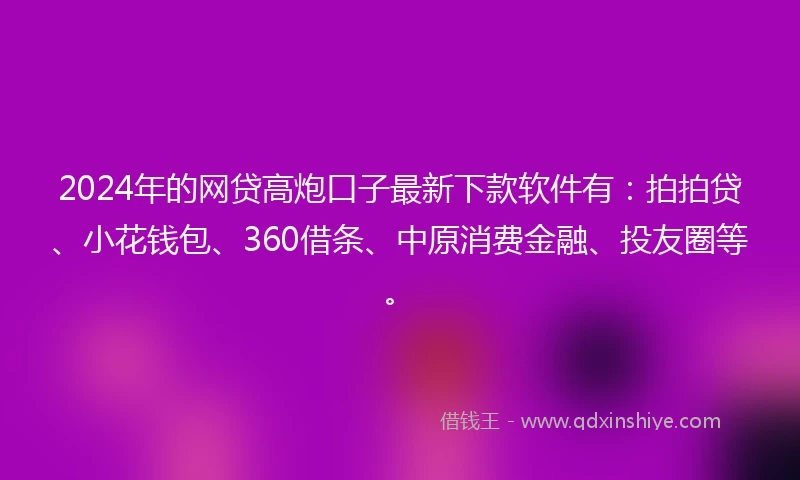 2024年的网贷高炮口子最新下款软件有：拍拍贷、小花钱包、360借条、中原消费金融、投友圈等。