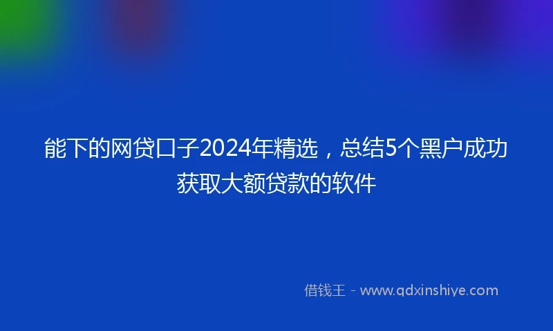 能下的网贷口子2024年精选，总结5个黑户成功获取大额贷款的软件