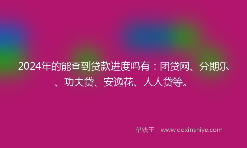 2024年的能查到贷款进度吗有：团贷网、分期乐、功夫贷、安逸花、人人贷等。