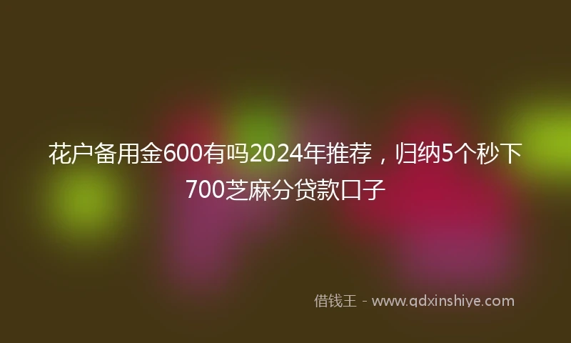 花户备用金600有吗2024年推荐，归纳5个秒下700芝麻分贷款口子