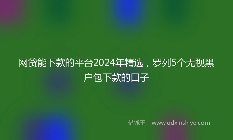 网贷能下款的平台2024年精选，罗列5个无视黑户包下款的口子