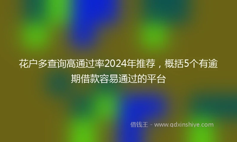 花户多查询高通过率2024年推荐，概括5个有逾期借款容易通过的平台