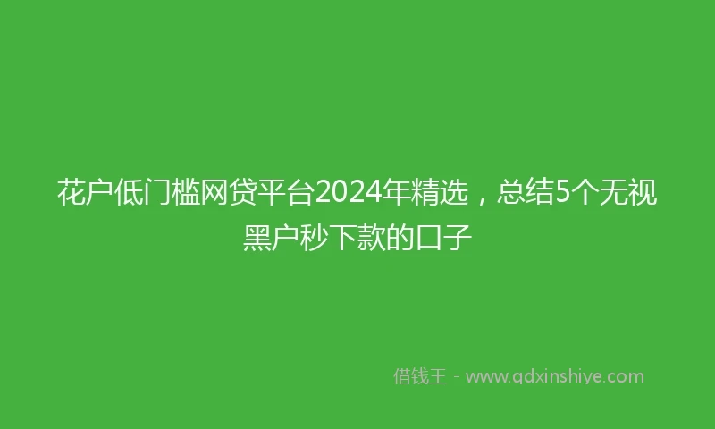 花户低门槛网贷平台2024年精选，总结5个无视黑户秒下款的口子