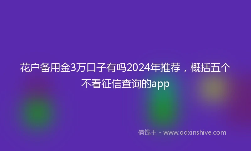 花户备用金3万口子有吗2024年推荐，概括五个不看征信查询的app