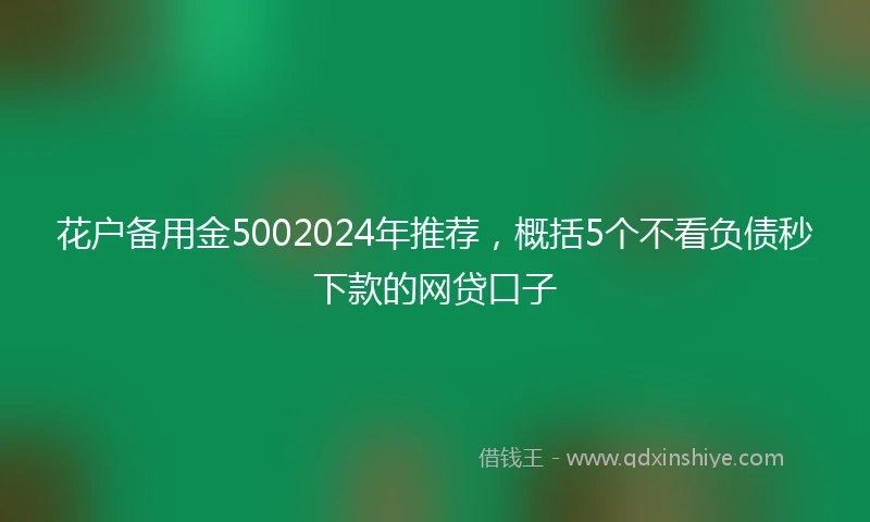 花户备用金5002024年推荐，概括5个不看负债秒下款的网贷口子