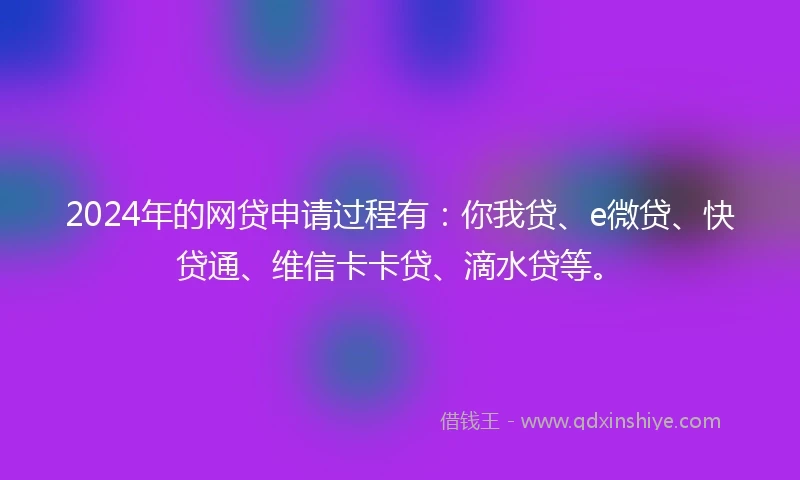 2024年的网贷申请过程有：你我贷、e微贷、快贷通、维信卡卡贷、滴水贷等。