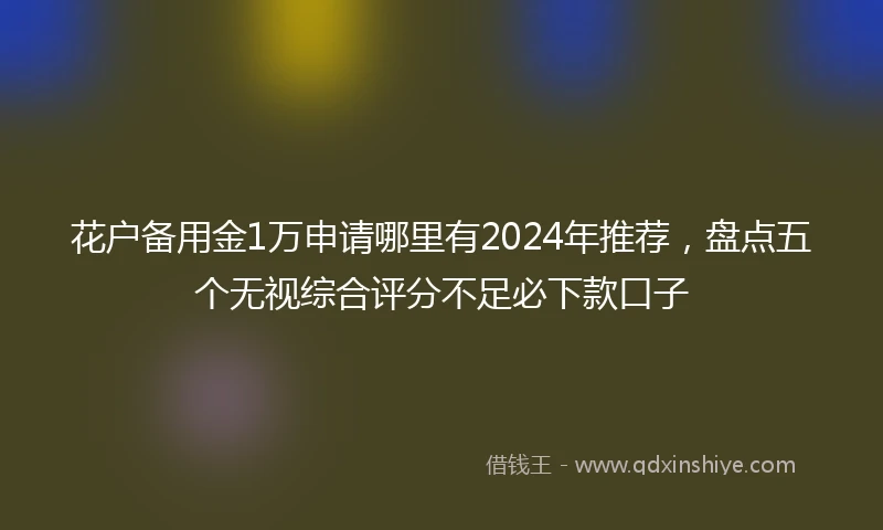 花户备用金1万申请哪里有2024年推荐，盘点五个无视综合评分不足必下款口子