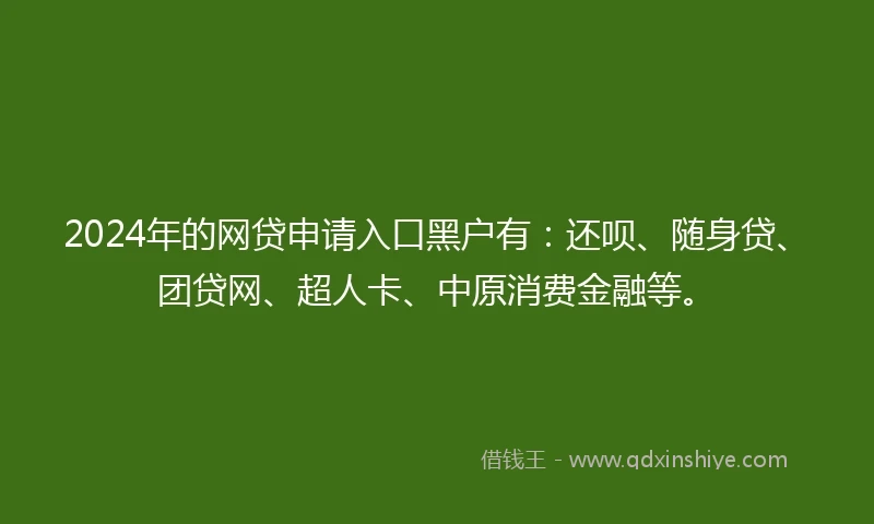 2024年的网贷申请入口黑户有：还呗、随身贷、团贷网、超人卡、中原消费金融等。