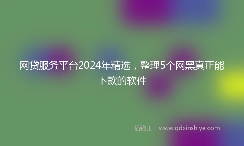 网贷服务平台2024年精选，整理5个网黑真正能下款的软件