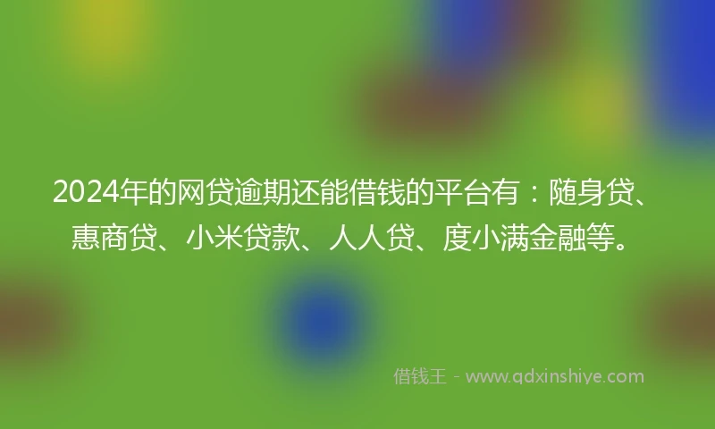 2024年的网贷逾期还能借钱的平台有：随身贷、惠商贷、小米贷款、人人贷、度小满金融等。